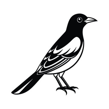 recommend clip art: Oriole Bird Silhouette Vector Illustration