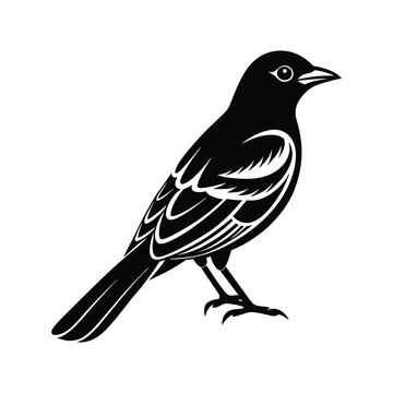 recommend clip art: Oriole Bird Silhouette Vector Illustration