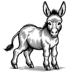 black and white illustration of a donkey