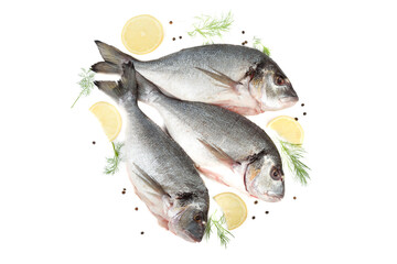 Top view of three cleaned dorado fish with lemon, pepper and dill on a white background.