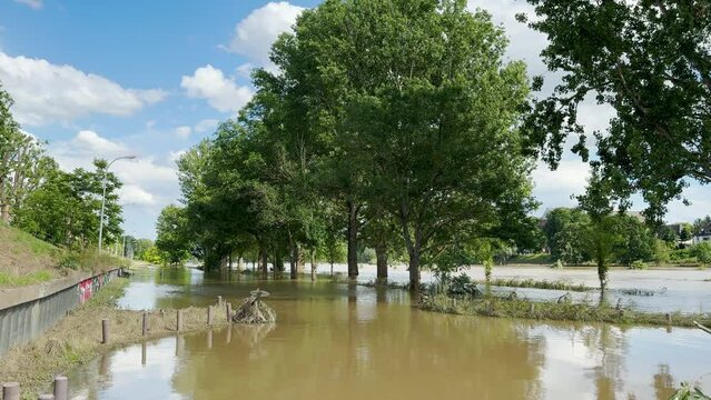 Flooded park in Mannheim, Germany 