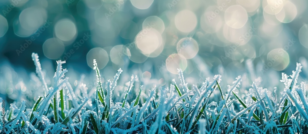 Poster close-up of icy crystals forming on lush green grass with a natural bokeh background, ideal for wide