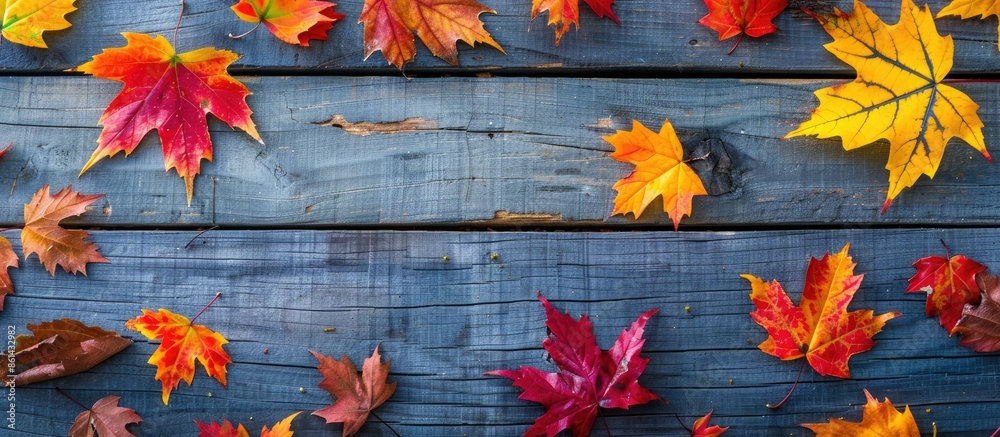 Poster autumn maple leaves in vibrant colors placed on a wooden backdrop, with space for additional images.