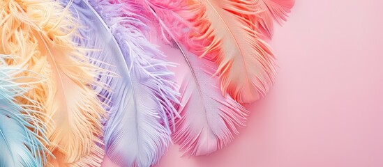 Fototapeta premium Delicate colors enhance ostrich feathers in a close-up photo on a pastel background, neatly arranged for a flat lay with a top view and copy space image.