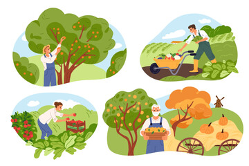 Harvesting scenes. Farmers pluck fruits and berries from trees. People pick vegetables. Pumpkin and tomato beds. Garden plants crop. Agriculture and horticulture. Garish vector set
