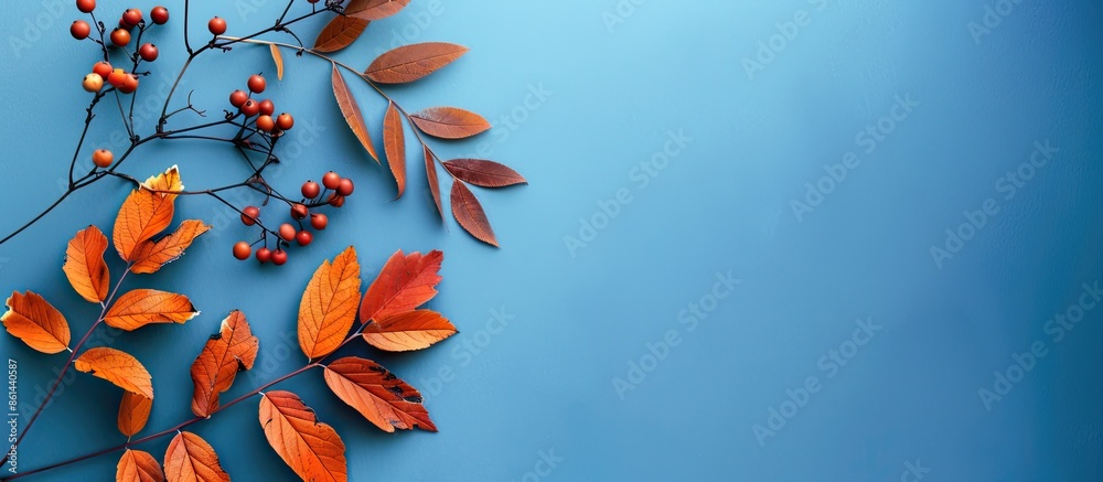 Poster autumn-themed card with vibrant rowan leaves set against a blue backdrop with copy space image.