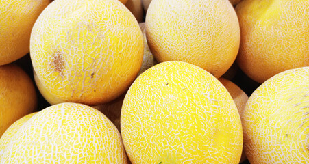 yellow sweet melon, greenhouse melon