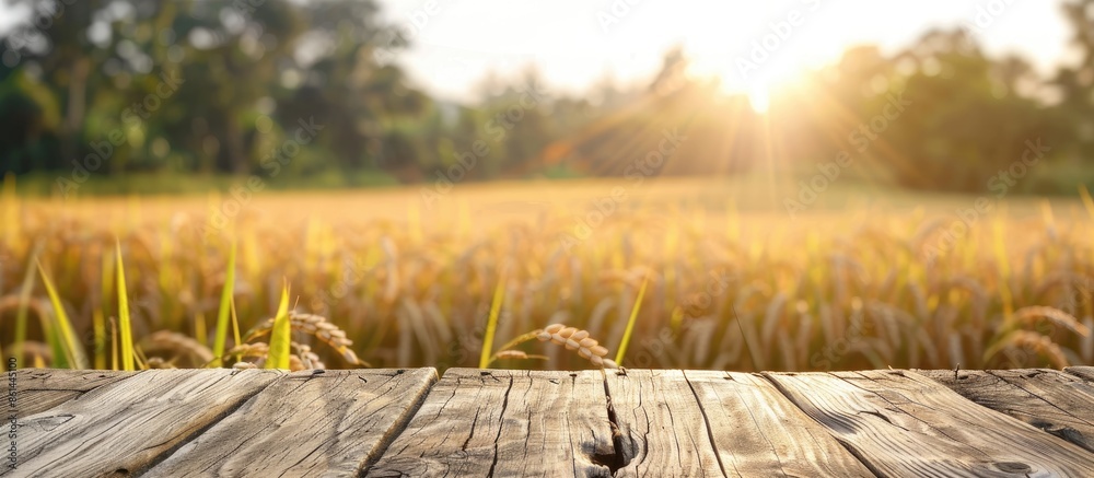 Poster blurry field or garden background with a wooden table top during the day, showcasing harvested rice 