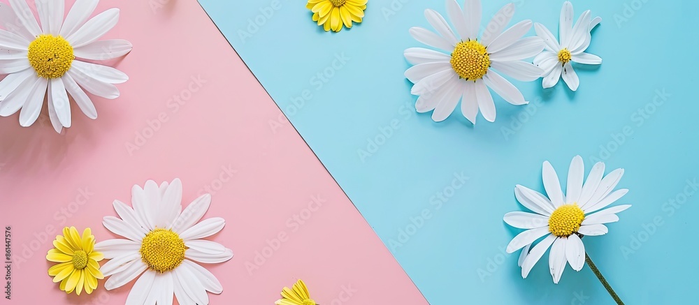 Poster blooming concept featuring white and yellow flowers on a colorful paper background, presenting a fla