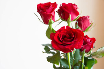 赤い薔薇