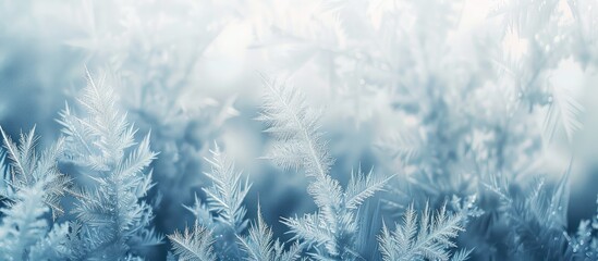 Abstract background in winter with frost pattern on window glass and copy space image.
