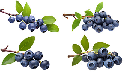 a close up of blueberries