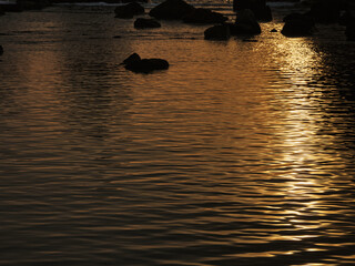 朝日の色が映る