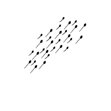recommend clip art: Sperm Cells Vector