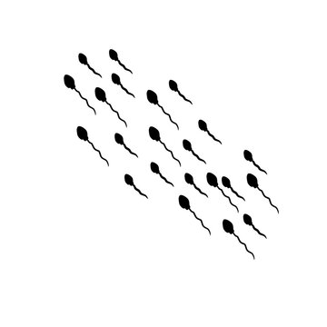 recommend clip art: Sperm Cells Vector