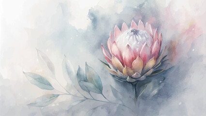 Minimalist background protea flower watercolor