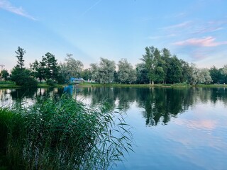 Obraz premium Sky and trees reflection on the calm surface of the lake, summer lake in the park, green trees, blue sky with tender clouds