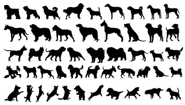 Silhouettes of domestic animals. Dog breed silhouettes. Vector illustration.	
