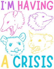 Sarcastic Possum Opossum Meme Colorful Printable PNG Design