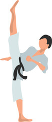 Karate fighter in grey kimono vector illustration on a white background