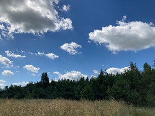 Summer harvest field with clouds
