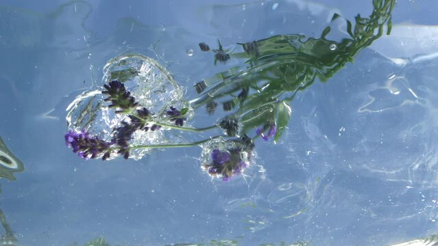 Lavender is falling into water in slow motion in front of Blue Skye. 