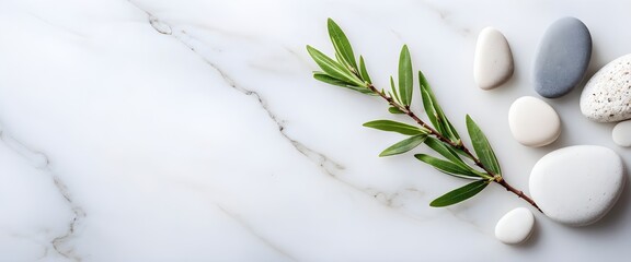 Sage twig with pebble stones on white sand background, minimalistic botanical scene. Generative AI