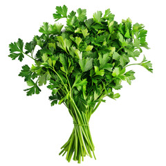 A bunch of parsley