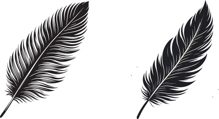 Obraz premium Feather line art vector illustration set, minimalist feather design