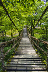 Obraz premium 福井のかずら橋