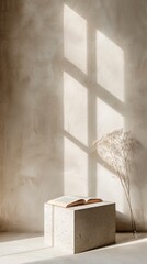 Serene Book Display in Minimalist Setting with Warm Sunlight and Soft Shadows, Ideal for Book Lovers Day Promotion