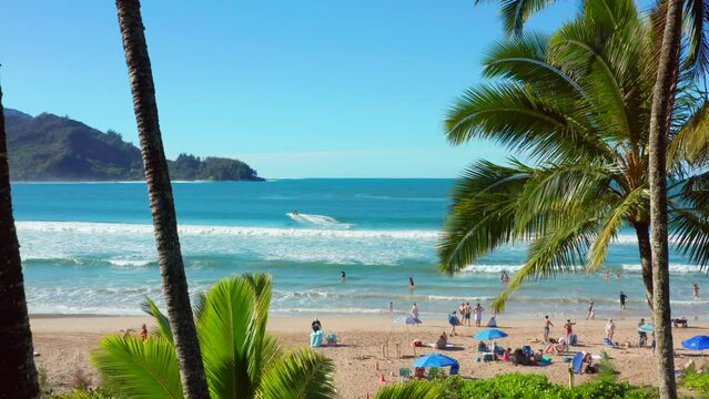 Tropical beach in travel destination Hawaii islands. USA tourism. Vacation in paradise aerial view palms and sandy shoreline. Drone shot above people enjoying summer holidays on exotic island Kauai