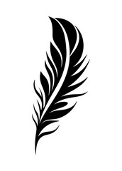 Obraz premium Black fluffy feather. Hand drawing vintage art realistic quill feathers for pen detailed isolated vector elegant silhouette sketch bird plume set