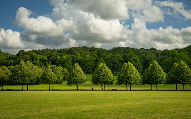 Priory Park in Reigate, Surrey, UK. This public park is close to Reigate town centre and features woodland, grass areas, a lake and visitor facilities.