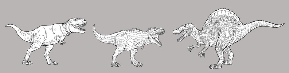 Coloring book template with carnivorous dinosaurs. Tyrannosaurus rex, Tarbosaurus and Spinosaurus.	