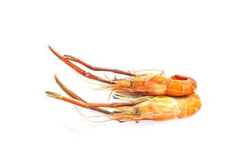 shrimp on white background