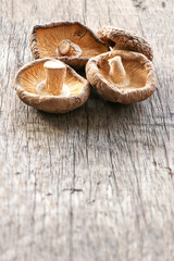 Fototapeta premium Shiitake mushroom on wooden table