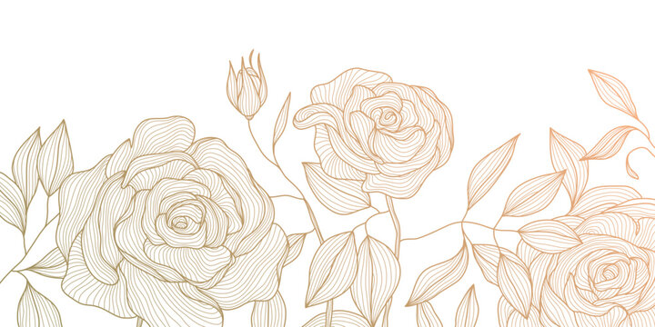 Vector gold roses on white background, floral line luxury pattern. Elegant modern illustration, vintage nature ornament, romantic wallpaper.