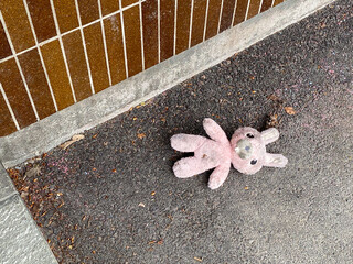 Doudou, lapin perdu dans la rue,doudou,lapin,peluche,trouvé,retrouvé,objet fétiche,fétiche,objet,affection, enfant, enfance,catastrophe,oublié,