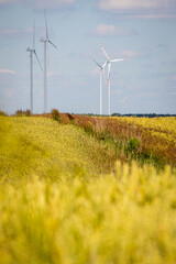 Windmill farm. Landscape in the countryside on a sunny day.