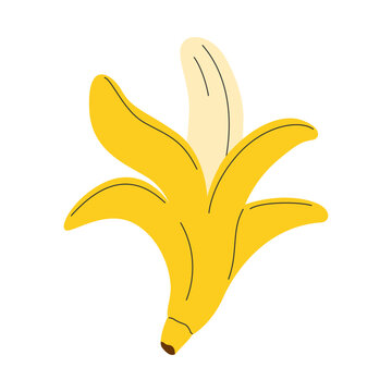 recommend clip art: Hand drawn opened peeled banana. Whole banana fruit with peel
