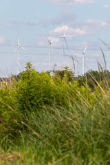 Windmill farm. Landscape in the countryside on a sunny day.