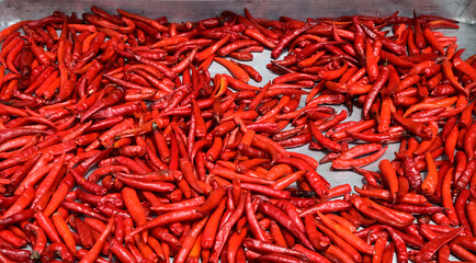 Fototapeta premium Closeup of Many of Fresh red chillies drying in a silver tray On the metal table in front of the rice shop at Thailand.