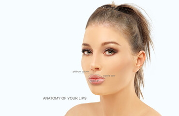 Fototapeta premium lip anatomy, cosmetology for lip shape correction