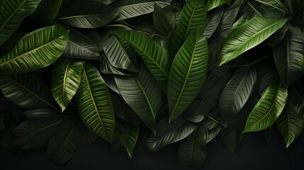 Obraz premium A Green Leaves Backdrop.