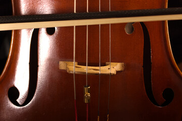 Cellist