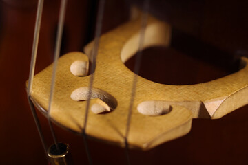 Cellist