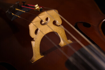 Cellist