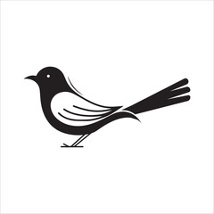 Minimal birds black icon, illustration, vector on white background