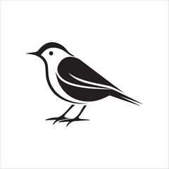 Minimal birds black icon, illustration, vector on white background